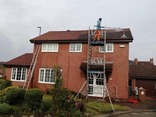 Roof Before Clean